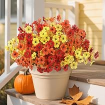 12x Künstliche Chrysanthemen Für Draußen – UV-beständige Herbstblumen In Orange/Rot, Perfekt Für Terrasse & Garten