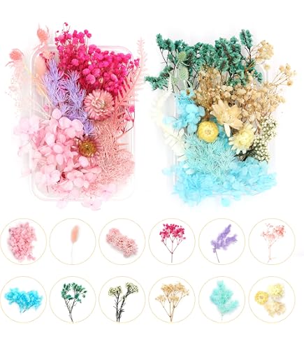 LUMOOM Mini Pressa Per Fiori In Metallo - Portatile Con Carta Assorbente, Per Scrapbooking E Fai Da Te - 2