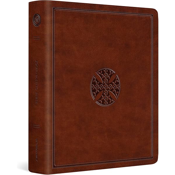 ESV Single Column Journaling Bible : ESV Bibles: Amazon.co.za: Books