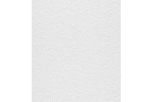 Rasch Home Style 823127 - Papel pintado con estructura de yeso, 10,05 x 0,53 m (largo x ancho), color blanco