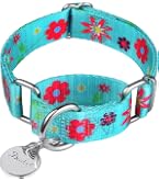 Haoyueer Martingale-Hundehalsband – Verstellbares Nylon-Halsband Für Spaziergänge & Training (Größe M, 36–45 Cm)