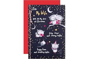 Hallmark Christmas Card, Wife Christmas Card, Cute Owl Designs, Gold Foil Details, Navy