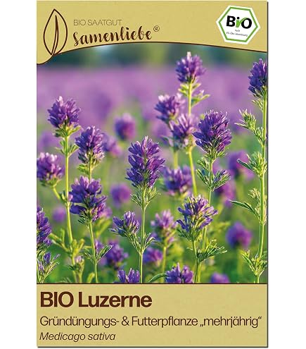 Luzerne Ewiger Klee Grndngung Frische Saat 1 kg : Amazon.de: Garten
