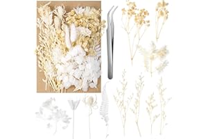 aurorayer Fleurs Séchées Blanche, Fleurs Sechees Naturelles Vraies Fleurs Pressées Séchées Decoration pour Scrapbooking Bougie Bricolage Résine Époxy Floral Fabrication Artisanale