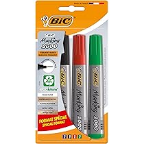 Boîte De 24 Marqueurs Permanents - BIC Intensity Fine Et BIC Intensity Fine Metallic - Pointe Fine - Couleurs Assorties - Dessins - Peinture