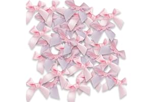 JKDHJK 48 Stück 5 Cm / 1,97" Regenbogenband Mini Schleife Dekoration Diy Handwerk Für Valentinstag Geschenkverpackung Hochzeit Auto Bänder Weihnachtskarten (Rosa)