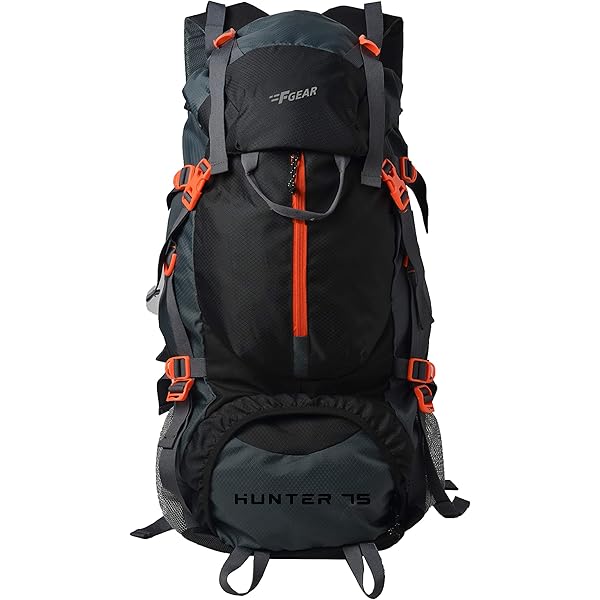Exclusively for リュカ Buy Quechua 10 Ltrs Purple Rucksack (8331388) at Amazon.in