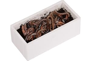 Natursache Terra Forming Paket „Jack“ I Natürlicher Bodenaktivator für Hochbeete und Pflanzkübel für 1-3 m² I Bodenverbesserer-Set mit Styroporbox, 150 STK. Regenwürmer & Einer Anleitung