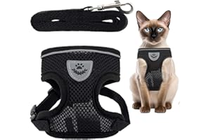 GENERICO GCR ANIMAL STORE - Pettorina Gatto con Guinzaglio - Schiena Regolabile - Rete Traspirante No Choke, Step-In Antifuga, Inserti Catarifrangenti – Taglia S - Leggera e Confortevole