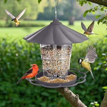 2 Mangeoires à Oiseaux Suspendues Dorées - Pour Suet, Fruits, Graines - Décoration Jardin