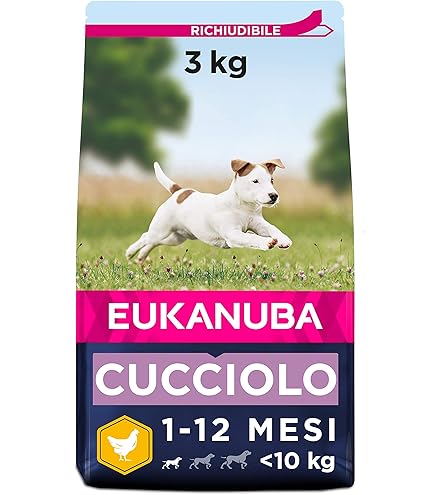Giochi In Corda Per Cane - 5 Pezzi In Cotone, Per Pulizia Denti E Divertimento, Taglia Piccola