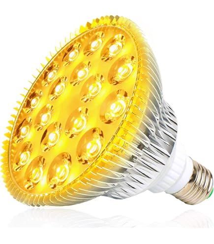 LED kweeklamp 90cm voor het kweken van planten 6500K - Mr. Light Store