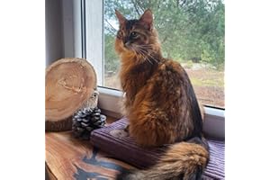 BORN2REST Prime Cat Window Lounger for Cats, Windowsill with a Non-Slip Backing, Cat Bed Window Sill, 50 cm x 20 cm, Made in European Union (Heather, 50 x 20 x 3 cm)