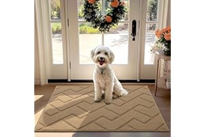Biscpro Tapis de Porte Paillasson d'Entree Interieur et Extérieur Tapis Antidérapant et Absorbant, Lavable, Tapis pour Intérieur, Extérieur, Chambre, Cuisine, Entrée, Couloir (Brun, 80 x 120 cm)