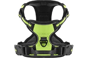 Belababy Dog Harness Small Dog, Dog Harness No Pull Adjustable Soft Padded Dog Harness with Easy Control Handle, Reflective Front Clip Dog Harness, Green S