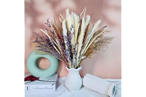 LZGS GO SWING BANDS Flores secas Decoracion Pampas Secas Decoracion Ramo Flores Secas Naturales DIY Ideal para Salón Boho Dormitorio Jarrones (LZGSGO-0117)