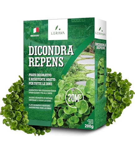 Bottos Dichondra Repens 500g – Tappeto Erboso Verde Pronto In 1 Settimana! - 3