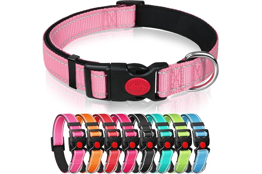 Reflective Nylon Dog Collar with Safety Buckle, Adjustable Pet Collars with Soft Neoprene Padding (Pink, M)
