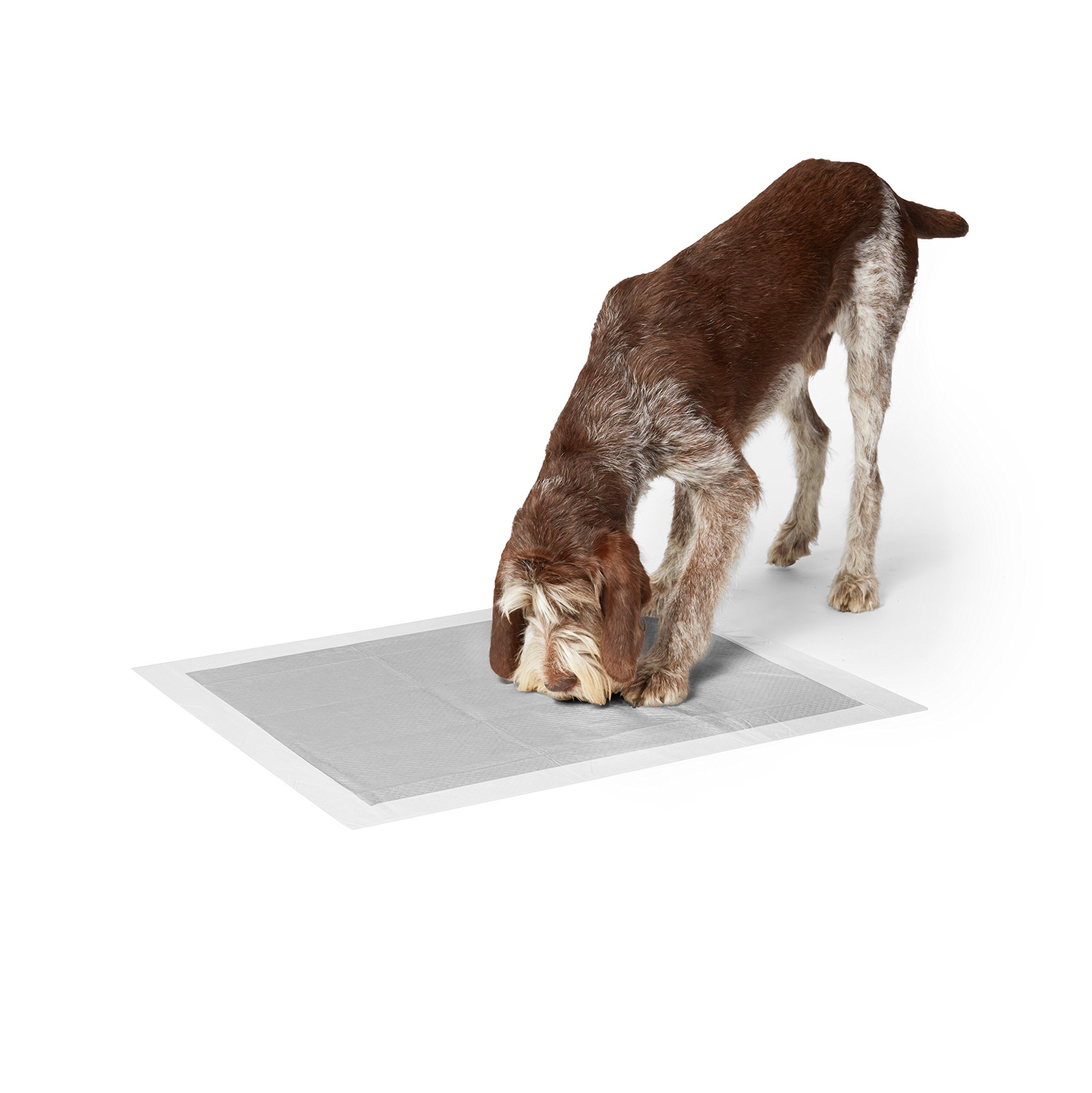 AmazonBasics-Tapis-de-propret-en-Carbone-pour-Chiots-Normal