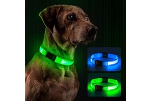 Leuchthalsband Hund, Hundehalsband Leuchtend Aufladbar mit Batteriekontrollleuchte, Wasserdichtes LED Hundegeschirr Leuchtend, Einstellbare Größe 3 Blinkende Lichter