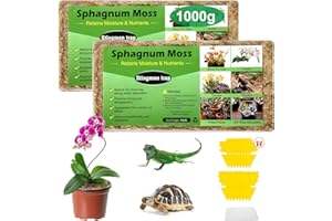 Stingmon Trap Musgo Sphagnum Tierra para Plantas Musgo Sphagnum Natural para Orquidea Musgo Vivo Sustrato Bonsai Sustrato Orquideas Sustrato Plantas 1000g y Trampa Moscas Atrapa Mosquitos Mata Moscas
