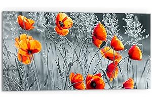 DEQORI Panneau arrière de cuisine en verre - Motif coquelicots rouges - 80 x 40 cm - Pour salle de bain ou cuisinière - Protection anti-éclaboussures pour cuisine et salle de bain - Décoration moderne