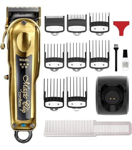 Dream Reach Profi-Haarschere – 15,2 Cm Japanischer 440C Stahl, Mit Ausdünnfunktion | Für Salon & Zu Hause