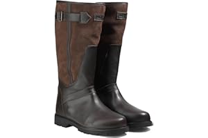Aigle Homme Inverss GTX Botte de randonnée