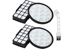 CAIXINYI 2 Filtres HEPA pour Rowenta X-Trem Power Cyclonic/Silence Force Cyclonic RO69xx RO6941EA RO6963EA RO6921EA RO6971EA RO6993EA ZR006001, RO72xx RO7230EA RO7260EA, Filtre à haute efficacité