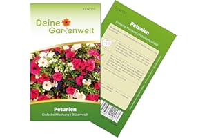 Petunien Gefüllte Mischung Samen - Petunia hybrida - Petuniensamen - Blumensamen - Saatgut für 200 Pflanzen