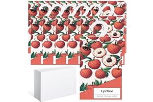 GOPERFUMME 14pcs Profuma Armadio Vestiti, Profumatori Armadio e Cassetti, Profumatore Auto, Profumo Aromi Sacchetti Lavanda Profumati per Armadio Cassetti Armadietti, Scarpiera Deodorante Armadio (Litchi)