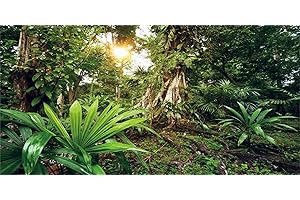 MIRRORANG 120x50cm Forêt Profonde Terrarium Fond Soleil Plantes Tropicales Arbres Aquarium Fond forêt Tropicale Reptile Habitat Fond Vinyle