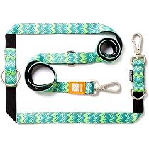 Max & Molly Smart ID Halsband M – Latte Design Mit Gepolstertem Neopren & Kostenlosem Verlustschutz-Programm