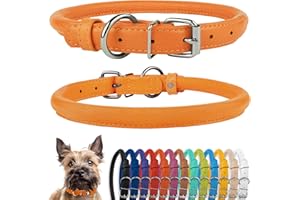 CollarDirect Hundehalsband aus gerolltem Leder, weich gepolstertes rundes Welpenhalsband, handgefertigtes echtes Lederhalsband für kleine und große Katzen, 13 Farben (7-8 Zoll, orange strukturiert)