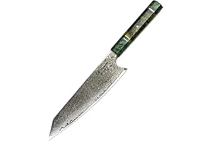 hajegato Coltelli da Cucina Damasco Kirituske Unico Nel Suo Genere Manico Professionale Coltello Giapponese 8 Pollici Coltello Cucina Professionali Vg10 Di Alta Qualità 67 Strati Coltello da Chef