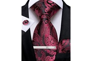 DiBanGu Men's Silk Woven Necktie Paisley Floral Tie Set with Pocket Square Cufflinks Tie Clip for Wedding Business
