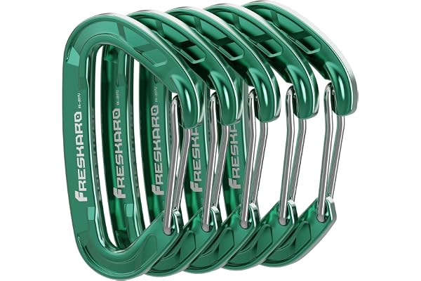 FresKaro 5 st karbinhakar, karibeener klämma kraftiga, liten robust nyckel nyckelringstillbehör, fjädersnäpp-trådkrok, 8 kN 816 kg, för vandring, camping, inte för klättring, ministorlek