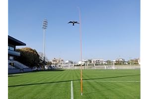 SCARYBIRD Cometa espantapájaros de Calidad Profesional 9 Metros