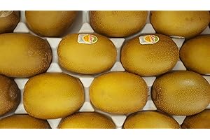 LIEFERFRUCHT Kiwi Gold aromatisch & gut, 25 Stück/ Karton aus Italien oder Neuseeland