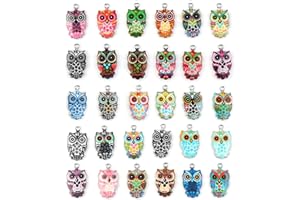 Grevosea 30 dijes de búho para hacer joyas, coloridos dijes esmaltados de búho, colgantes de búho de metal, bonitos suministros para hacer joyas, collares, aretes, pulseras, llaveros, manualidades