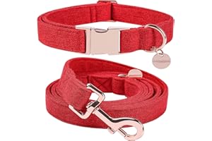 DOGWONG Hundehalsbänder rot, Hundehalsbänder und Leine aus rot hundehalsband, Bequeme verstellbares Hundehalsband für kleine mittelgroße Hunde