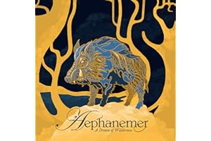 A dream of Wilderness