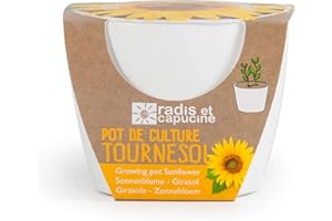 Radis et Capucine - Pot Céramique Blanc 8 cm avec graines de Tournesol à Faire Pousser et Fleur à la Maison