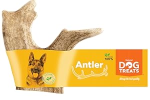 GIGIL TREAT YOUR PET LIKE A KING 100% Natural Mordedor Asta de Gamo para Perros Cuerno Masticar Juguete, Tamaño Large, Juguetes para Perros, Mordedor Perro L (151-220 g)