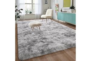 DweIke Fluffy Modern Area Rugs for Living Room Bedroom, 3x5 ft Plush High Pile Rug for Kids Girls Room Nursery Home Decor, Upgrade Non-Slip Girls Bedroom Soft Indoor Rug, Tie-Dyed Light Grey