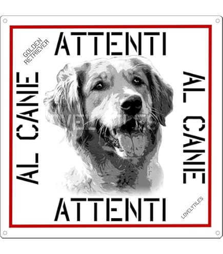 Cartello Metallo 'Attenti Al Cane' Golden Retriever - 15x20 Cm - Foto 10