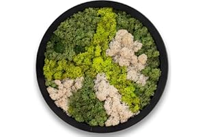 comforder Rundes Wandbild mit echtem Moos (ø 38 cm), Konserviertes Moosbild mit Holzrahmen, Natur Wanddeko fürs Wohnzimmer