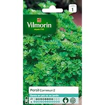 150 Graines De Thym D'Été - Aromatique, Parfumé, Très Résistant à La Sécheresse - Idéal Cuisine Et Jardin Mellifère