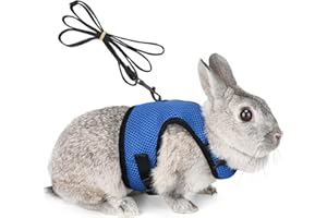HAPPY HACHI Harnais pour Lapins Cochons d'Inde Petits Animaux avec Laisse Élastique Gilet Souple pour Promenade (S, Bleu)