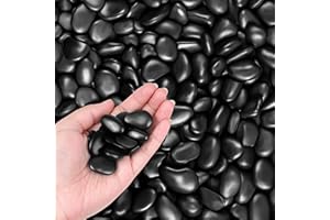 Winter Shore Guijarros Negros Decorativos de 1,35 kg - Grava Acuario Negra de 2,5 a 3 cm para Macetas, Acuario, Jardín, Terrario y Relleno de Jarrones - Piedras Acuario Naturales Tamizadas y Pulidas